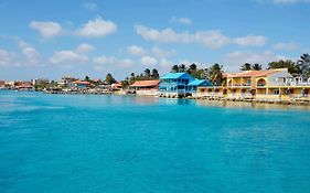Divi Flamingo Beach Resort Bonaire